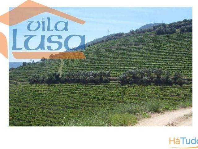 Quinta no Douro Margem Esquerda | 26080389336