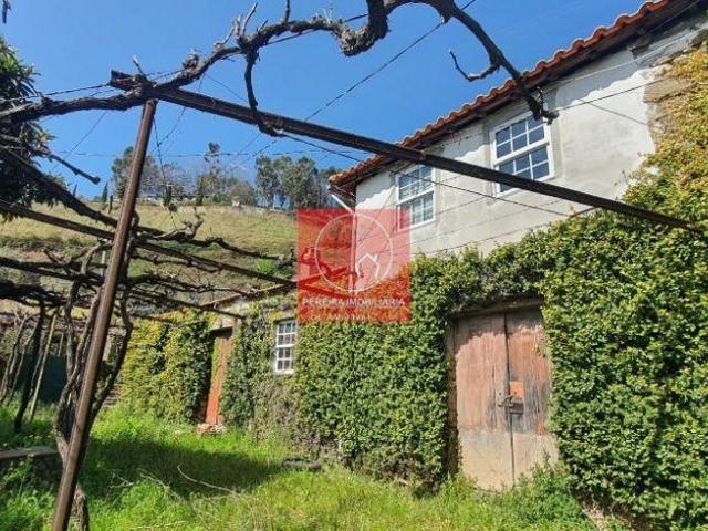Quinta no Douro, Vila Marim | 26063543546