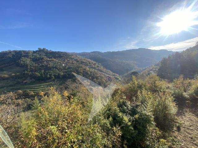 Quinta no Vale do Bestança | Vistas Panorâmicas | Cinfães
