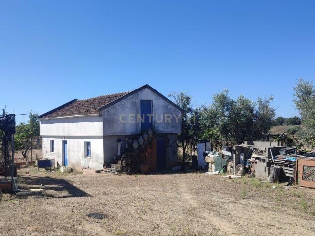 QUINTA NOS ESCALOS DE BAIXO COM 7625 m2
