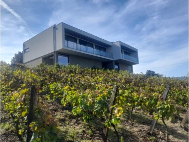 Quinta na Região Demarcada do Douro Mesão Frio