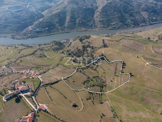 Quinta na Régua para produção vinícola