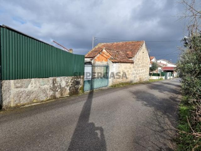 Quinta com casa em ruina Vila de Tábua