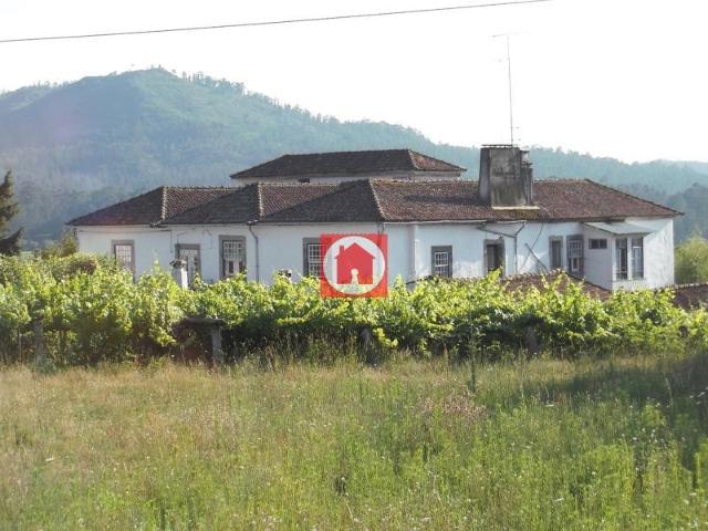 Quinta século Xix com vinhas e bosque em Castelo de Neiva, V. 700m² Castelo Do Neiva
