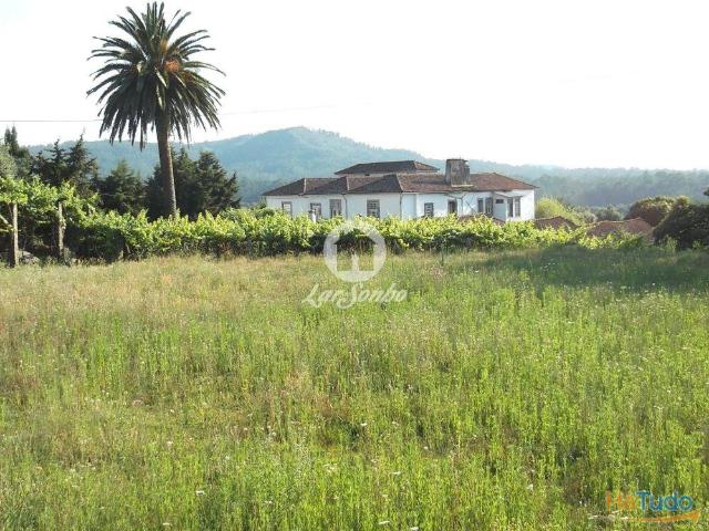 Quinta século XIX com vinhas e bosque em Castelo de Neiva, Viana do Castelo | 26080834061