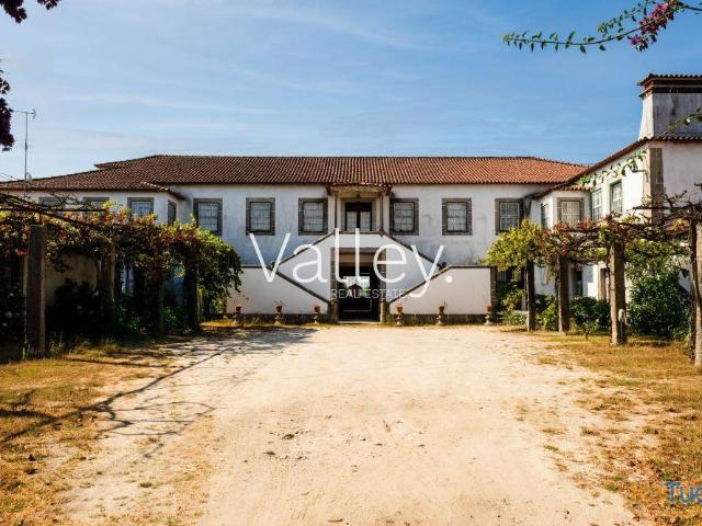 Quinta Senhorial de Excelência com Potencial Turístico e Residencial | 26074089570