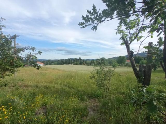 QUINTA SERRA DA ESTRELA, 1 hectare de terreno com casa para recuperar Guarda