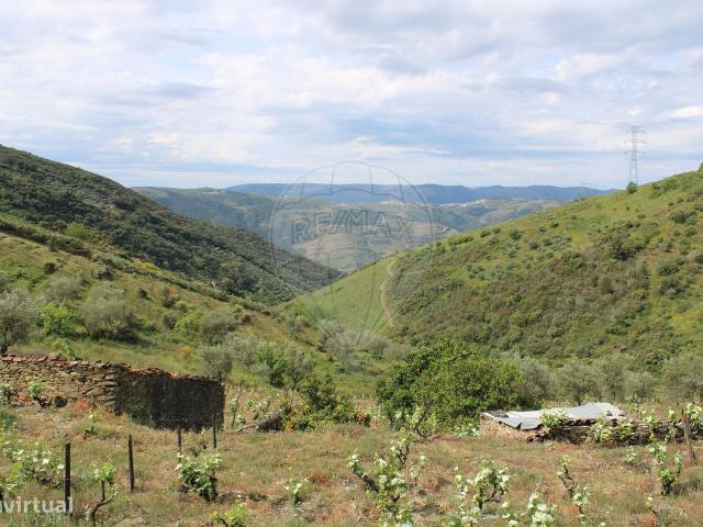 Quinta para venda