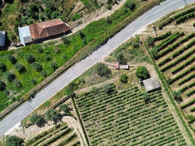 Quinta para venda