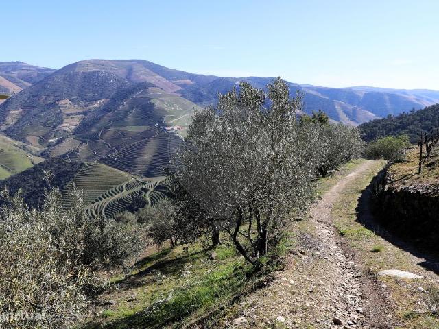 Quinta para venda