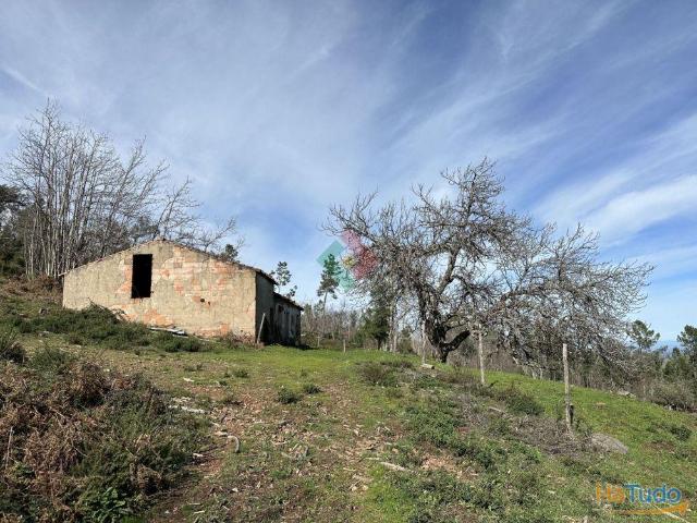 Quinta, para venda, Castelo de Vide Santa Maria da Devesa | 26064075624