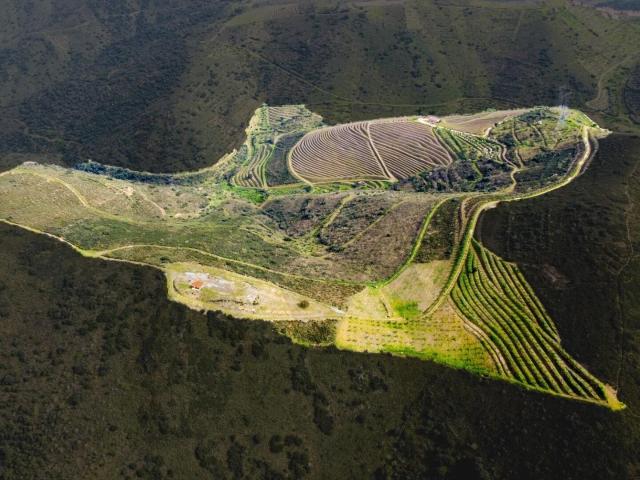 Quinta para venda Douro Superior Vila Nova De Foz Côa