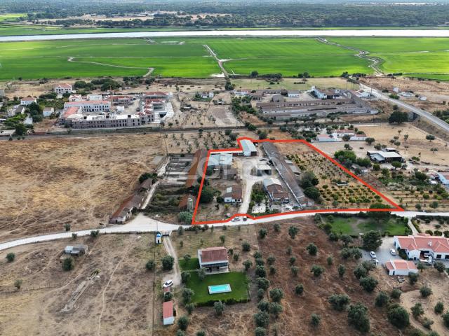 Quinta em Alcácer do Sal com 9640mt2