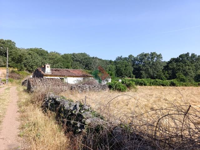 Quinta, para venda, Marvão S. Salvador da Aramenha