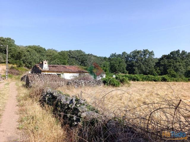 Quinta, para venda, Marvão S. Salvador da Aramenha | 26084093665