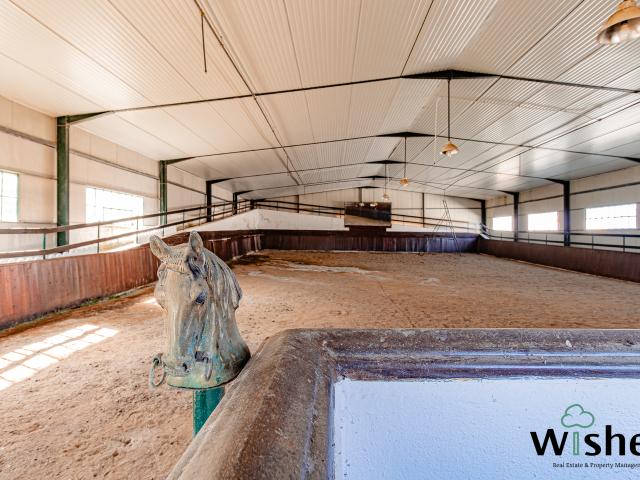 Quinta para venda no Alto da Agruela, com 3 Moradias Independentes, Picadeiro, Piscina, Ginásio e Sala p/ Eventos
