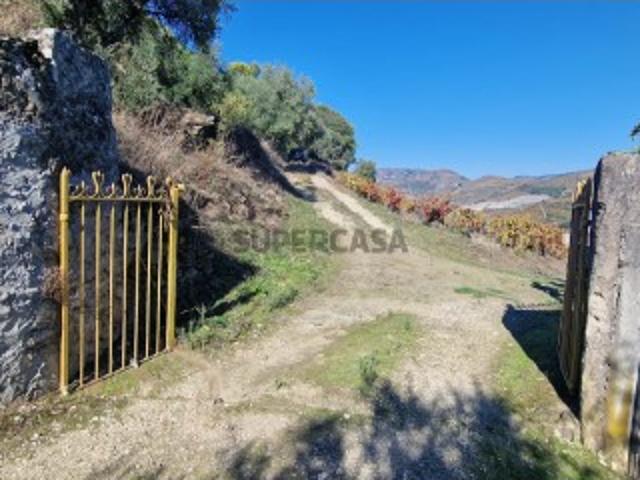 Quinta para venda no Douro Vinhateiro, Peso da Régua