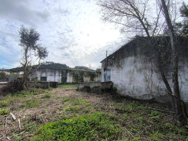 Quinta, para venda, Rio Maior Asseiceira