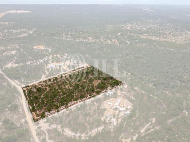 Quinta para construção de moradia, no Muda Reserve, Grândola