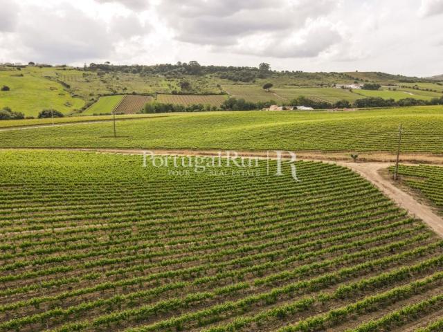Quinta para produção de vinho com 36 hectares 570m² Castanheira do ribatejo e cachoeiras