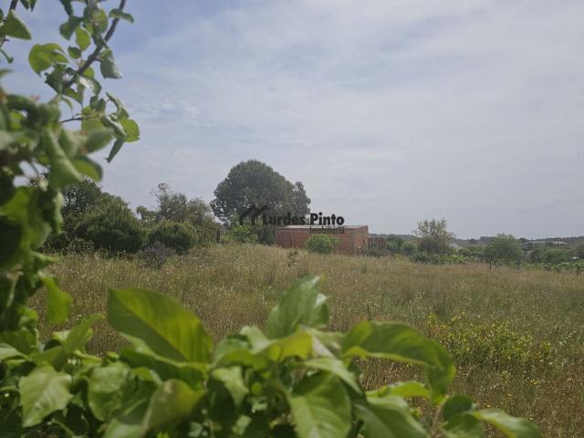 Quinta perto de Castelo Branco