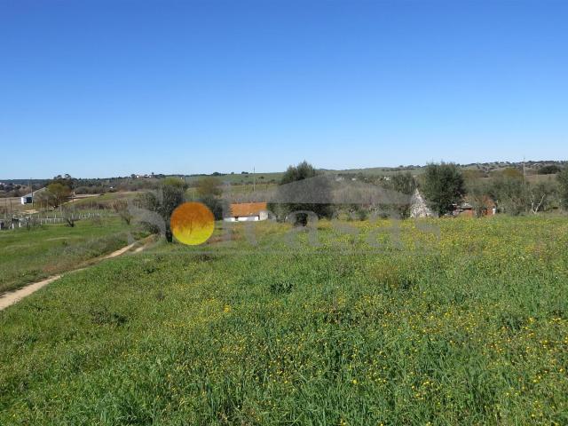 Quinta perto de Alcácer do Sal 80m² Alcácer do Sal Santiago e Santa Maria do Castelo e Santa S