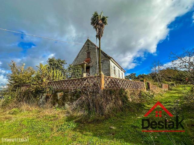 Quinta prxima de Viseu com 10 Hectares