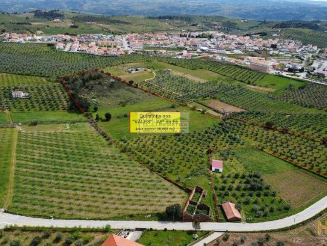 Quinta premium à Venda em Alfândega da Fé | 26083767867
