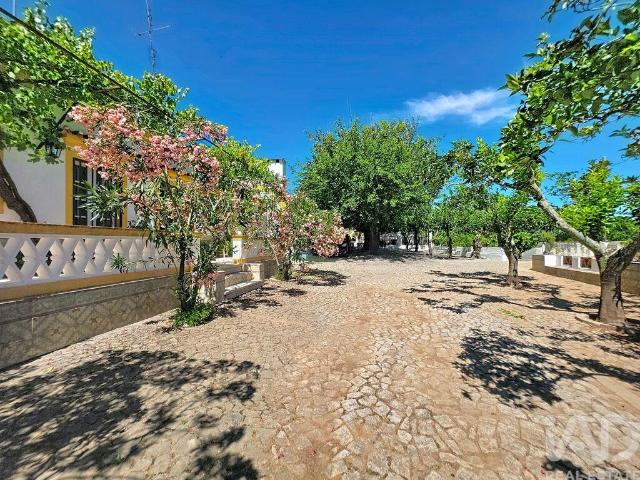 Quinta rural T5 em Assunção, Ajuda, Salvador e Santo Ildefonso de 300 m²