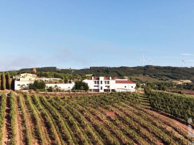 Quinta rural T10 em Caldas da Rainha Santo Onofre e Serra do Bouro de 904 m²
