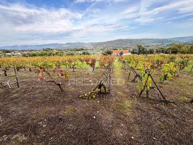 Quinta Rural T4