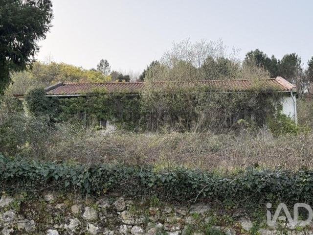 Quinta rural T4 em Parada de Cunhos de 120 m²