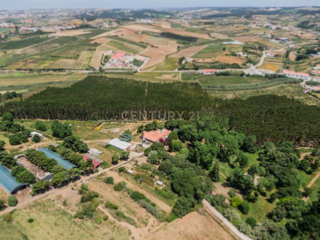 Quinta Rústica Lourinhã