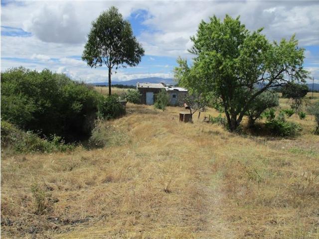 Quinta T0 à venda em Castelo Branco