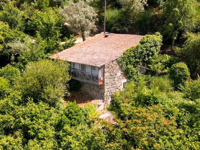 Quinta T0 à venda em Lamego