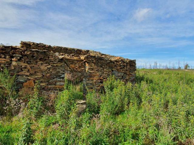 Quinta T0 Venda em Freixial e Juncal do Campo,Castelo Branco | 25072655564