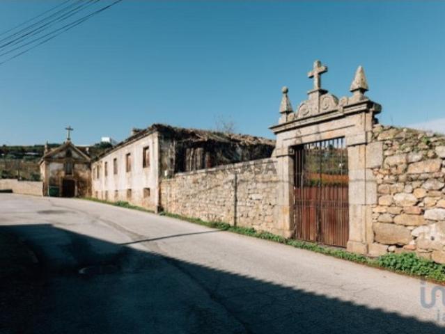 Quinta T16 em Lamego Almacave e Sé de 1660,00 m²