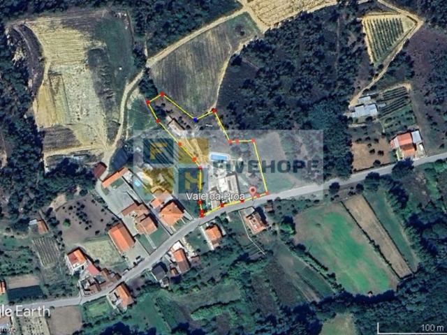Quinta T10 Semide