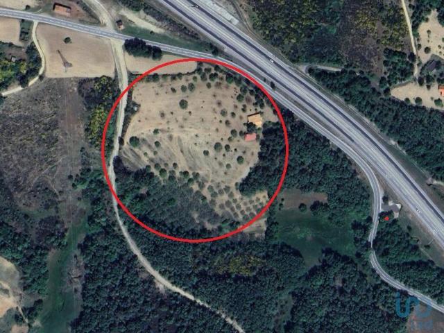 Quinta T1 em Mós de 261,00 m² 261m² Pico de Regalados, Gondiães e Mós
