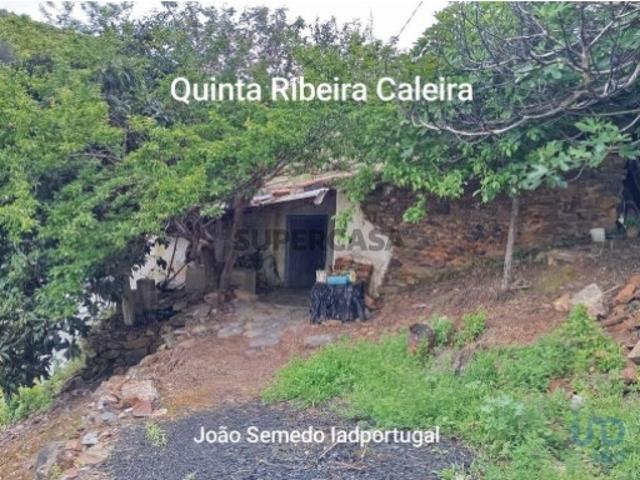 Quinta T2 em Alegrete de 102,00 m²