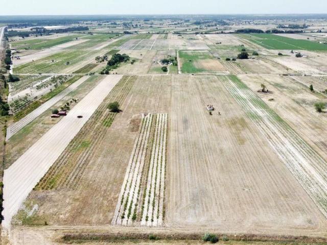 Quinta T2 em Almeirim de 100,00 m2