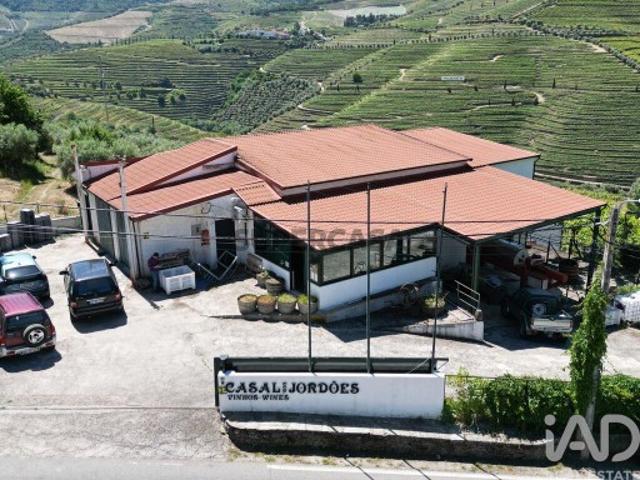 Quinta T2 em Ervedosa do Douro de 830 m²