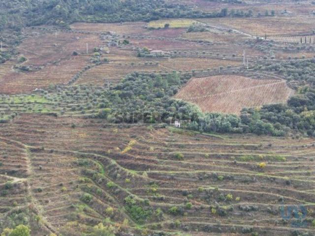 Quinta T3 em Ervedosa do Douro de 634,00 m²
