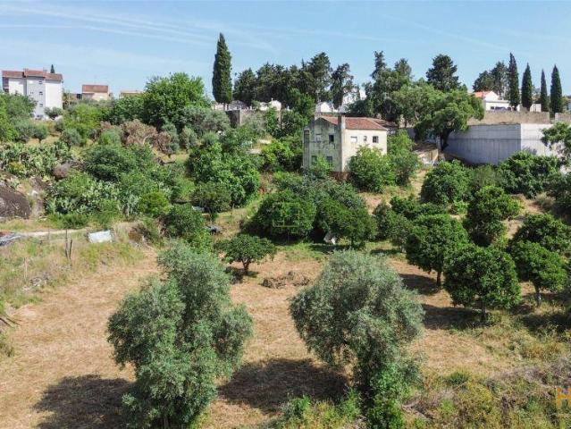 Quinta T3 Venda em Castelo Branco,Castelo Branco | 26064090843