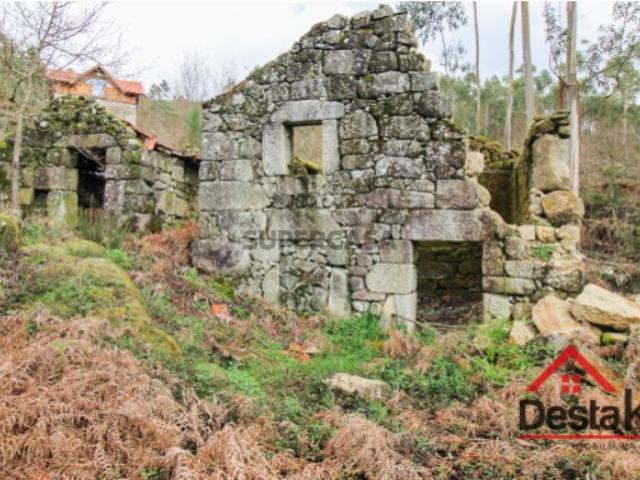 Quinta T3 Venda em Santa Cruz da Trapa e São Cristóvão de Lafões,São Pedro do Sul