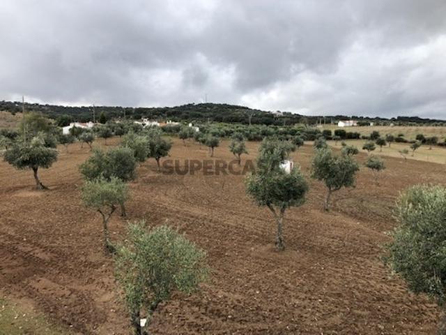Quinta T4+1 Santo Aleixo, Monforte, Portalegre, Alentejo