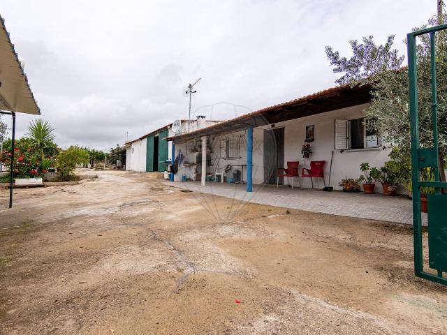 Quinta T4 à venda em Castelo Branco