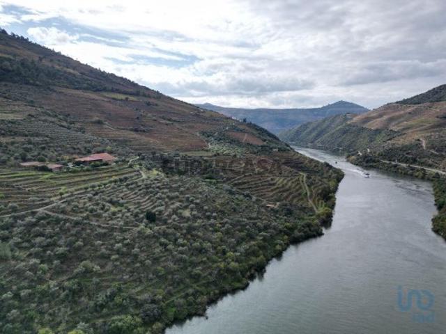 Quinta T4 em Ervedosa do Douro de 1720,00 m²