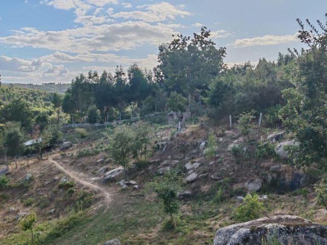 Quinta T4 em Travanca de Lagos de 7950,00 m² m² Travanca de lagos