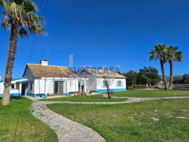 Quinta T4 junto à Serra da Arrábida, com terreno de 2,95 Ha